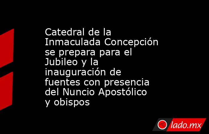 Catedral de la Inmaculada Concepción se prepara para el Jubileo y la inauguración de fuentes con presencia del Nuncio Apostólico y obispos. Noticias en tiempo real