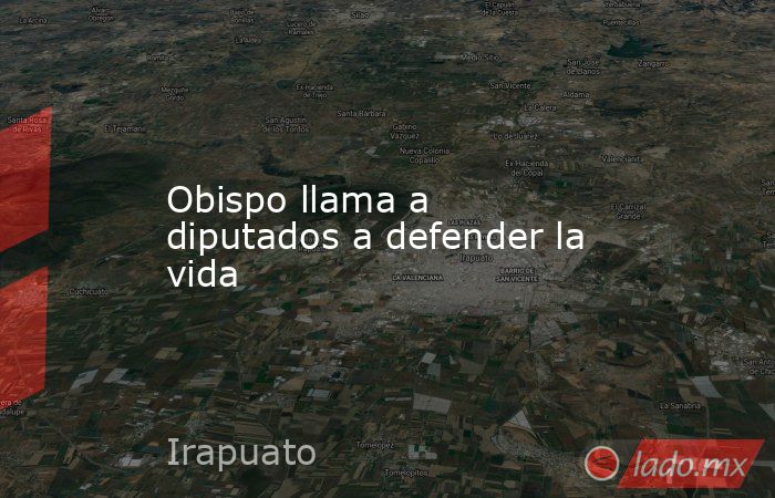 Obispo llama a diputados a defender la vida. Noticias en tiempo real