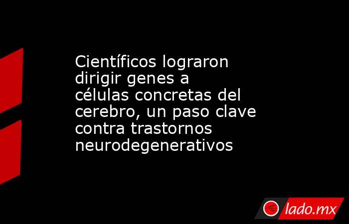 Científicos lograron dirigir genes a células concretas del cerebro, un paso clave contra trastornos neurodegenerativos. Noticias en tiempo real