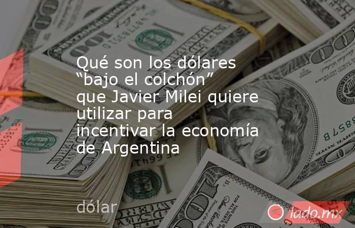 Qué son los dólares “bajo el colchón” que Javier Milei quiere utilizar para incentivar la economía de Argentina. Noticias en tiempo real