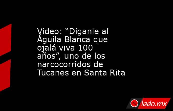 Video: “Díganle al Águila Blanca que ojalá viva 100 años”, uno de los narcocorridos de Tucanes en Santa Rita. Noticias en tiempo real