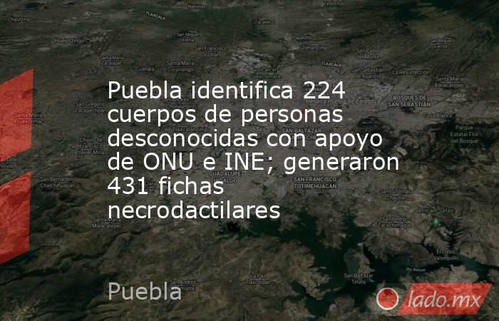 Puebla identifica 224 cuerpos de personas desconocidas con apoyo de ONU e INE; generaron 431 fichas necrodactilares. Noticias en tiempo real