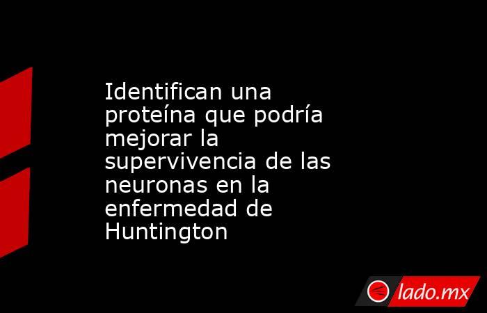 Identifican una proteína que podría mejorar la supervivencia de las neuronas en la enfermedad de Huntington. Noticias en tiempo real