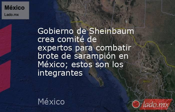 Gobierno de Sheinbaum crea comité de expertos para combatir brote de sarampión en México; estos son los integrantes. Noticias en tiempo real
