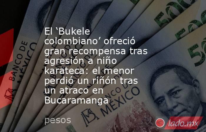 El ‘Bukele colombiano’ ofreció gran recompensa tras agresión a niño karateca: el menor perdió un riñón tras un atraco en Bucaramanga. Noticias en tiempo real