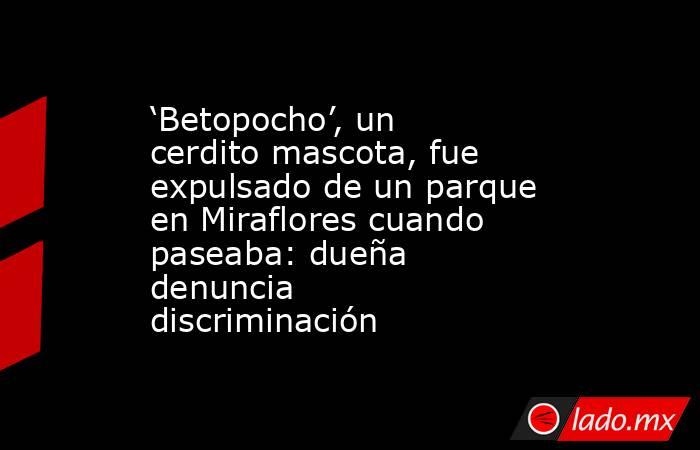 ‘Betopocho’, un cerdito mascota, fue expulsado de un parque en Miraflores cuando paseaba: dueña denuncia discriminación. Noticias en tiempo real