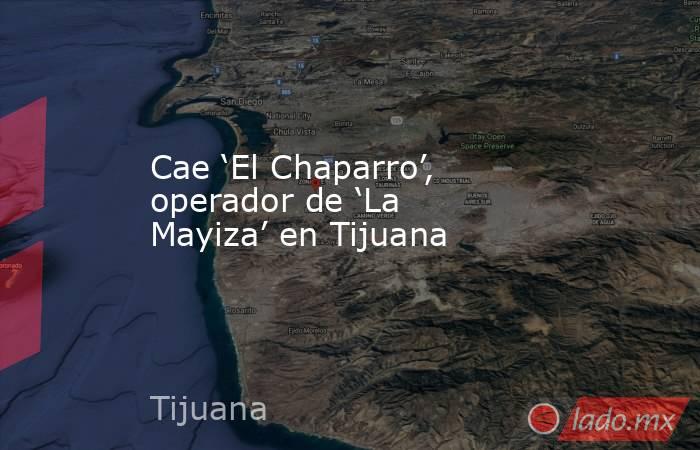 Cae ‘El Chaparro’, operador de ‘La Mayiza’ en Tijuana. Noticias en tiempo real