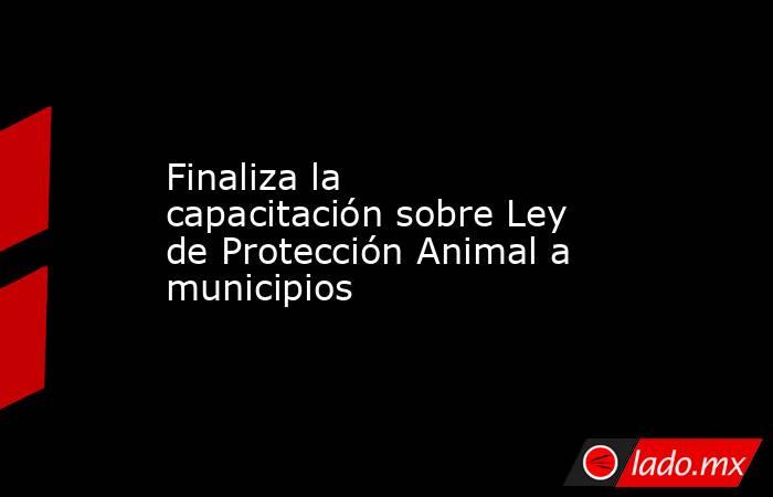 Finaliza la capacitación sobre Ley de Protección Animal a municipios. Noticias en tiempo real