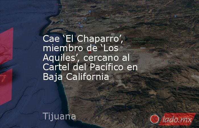 Cae ‘El Chaparro’, miembro de ‘Los Aquiles’, cercano al Cartel del Pacífico en Baja California. Noticias en tiempo real