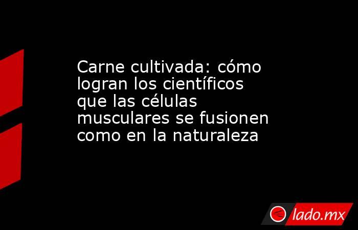 Carne cultivada: cómo logran los científicos que las células musculares se fusionen como en la naturaleza  . Noticias en tiempo real