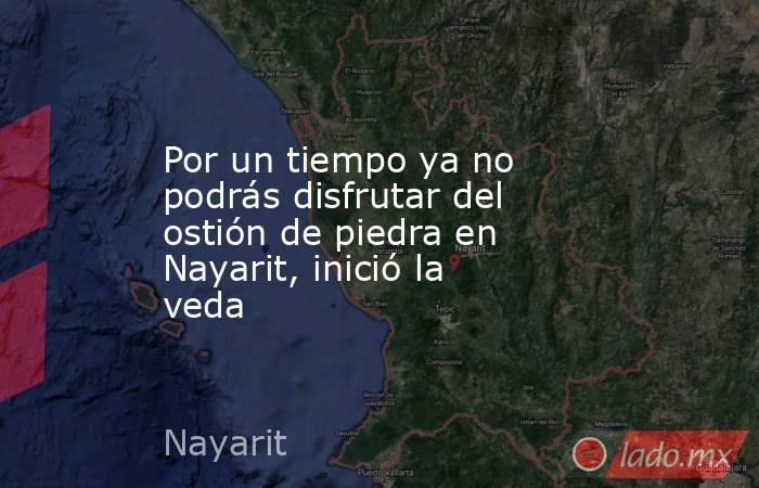 Por un tiempo ya no podrás disfrutar del ostión de piedra en Nayarit, inició la veda. Noticias en tiempo real
