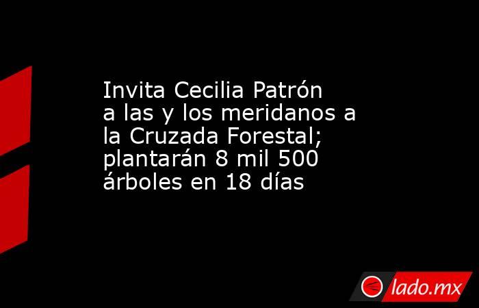 Invita Cecilia Patrón a las y los meridanos a la Cruzada Forestal; plantarán 8 mil 500 árboles en 18 días. Noticias en tiempo real