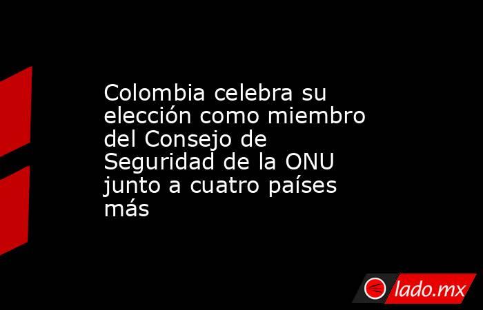 Colombia celebra su elección como miembro del Consejo de Seguridad de la ONU junto a cuatro países más. Noticias en tiempo real