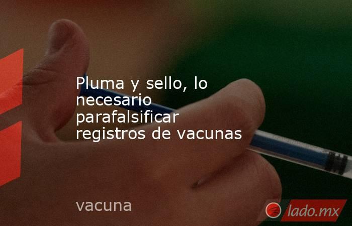 Pluma y sello, lo necesario parafalsificar registros de vacunas. Noticias en tiempo real
