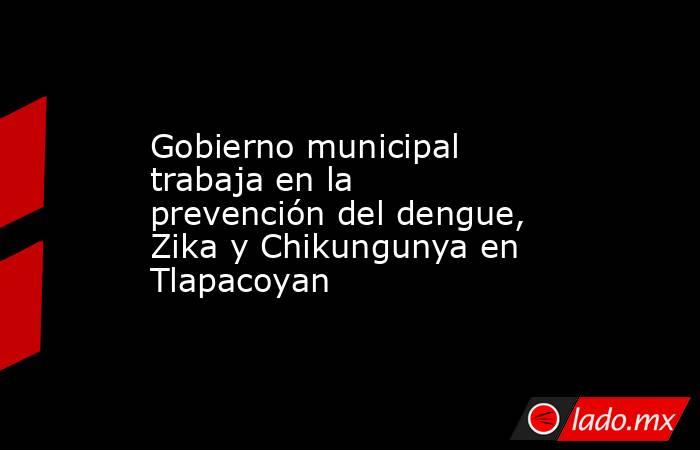 Gobierno municipal trabaja en la prevención del dengue, Zika y Chikungunya en Tlapacoyan. Noticias en tiempo real