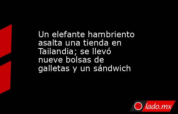 Un elefante hambriento asalta una tienda en Tailandia; se llevó nueve bolsas de galletas y un sándwich. Noticias en tiempo real