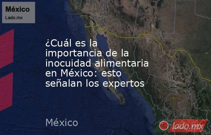 ¿Cuál es la importancia de la inocuidad alimentaria en México: esto señalan los expertos . Noticias en tiempo real