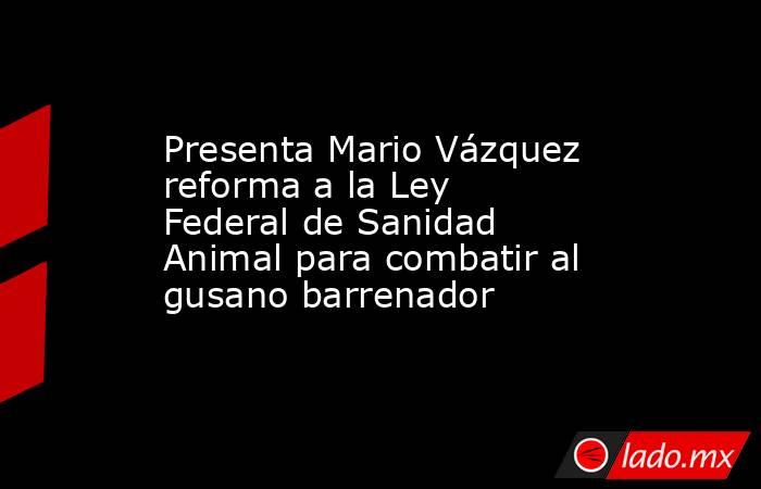 Presenta Mario Vázquez reforma a la Ley Federal de Sanidad Animal para combatir al gusano barrenador. Noticias en tiempo real