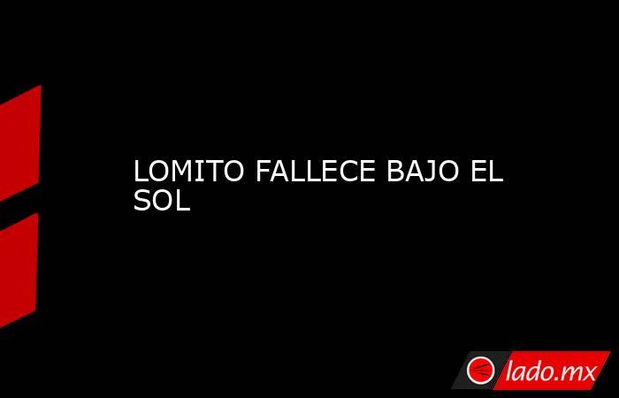 LOMITO FALLECE BAJO EL SOL. Noticias en tiempo real