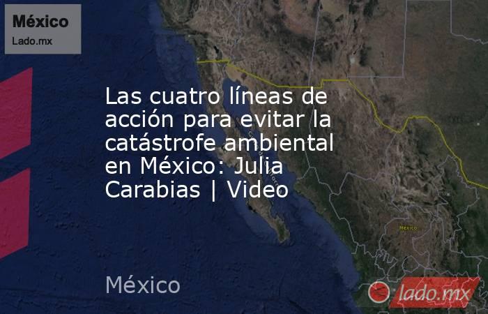 Las cuatro líneas de acción para evitar la catástrofe ambiental en México: Julia Carabias | Video. Noticias en tiempo real