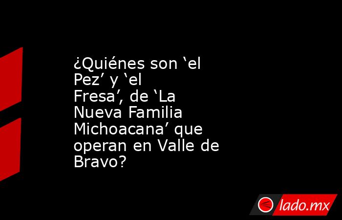 ¿Quiénes son ‘el Pez’ y ‘el Fresa’, de ‘La Nueva Familia Michoacana’ que operan en Valle de Bravo?. Noticias en tiempo real