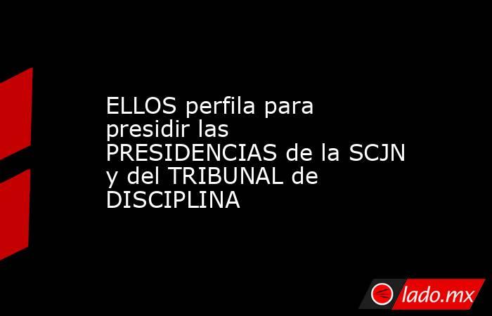 ELLOS perfila para presidir las PRESIDENCIAS de la SCJN y del TRIBUNAL de DISCIPLINA. Noticias en tiempo real