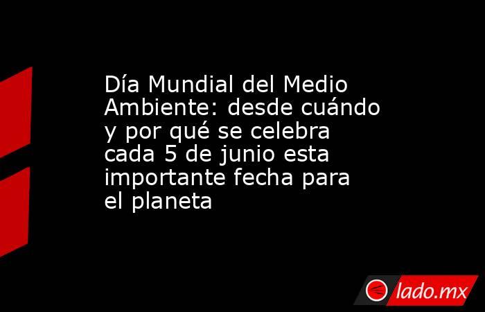 Día Mundial del Medio Ambiente: desde cuándo y por qué se celebra cada 5 de junio esta importante fecha para el planeta. Noticias en tiempo real