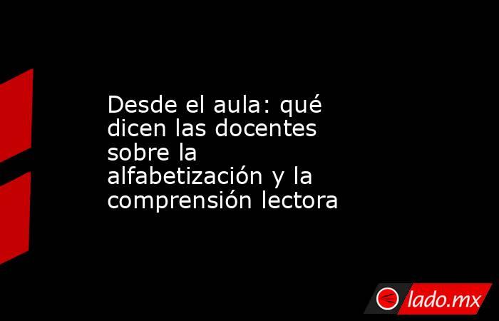 Desde el aula: qué dicen las docentes sobre la alfabetización y la comprensión lectora. Noticias en tiempo real