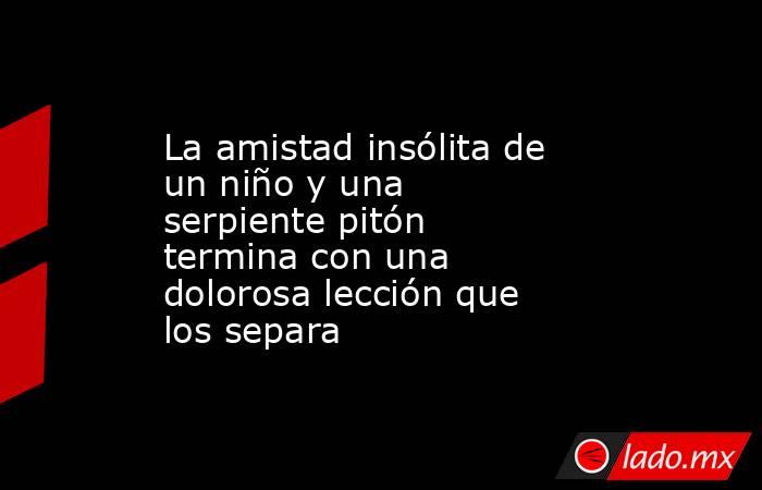 La amistad insólita de un niño y una serpiente pitón termina con una dolorosa lección que los separa. Noticias en tiempo real