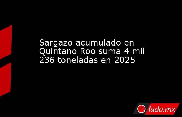 Sargazo acumulado en Quintano Roo suma 4 mil 236 toneladas en 2025. Noticias en tiempo real