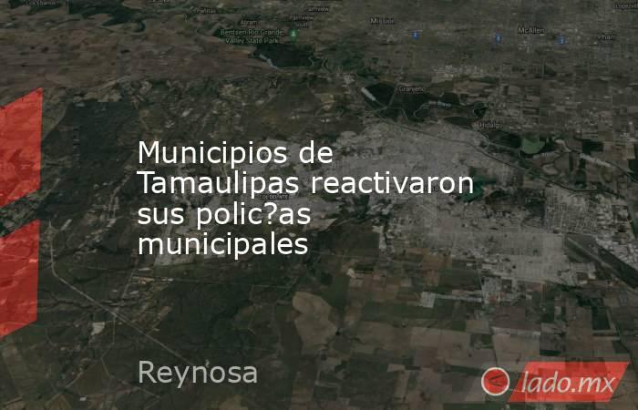 Municipios de Tamaulipas reactivaron sus polic?as municipales. Noticias en tiempo real