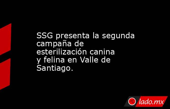 SSG presenta la segunda campaña de esterilización canina y felina en Valle de Santiago.. Noticias en tiempo real