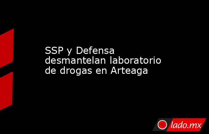 SSP y Defensa desmantelan laboratorio de drogas en Arteaga. Noticias en tiempo real