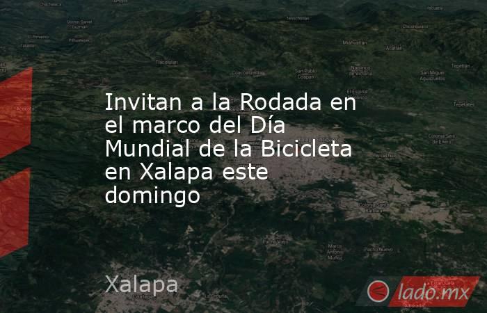 Invitan a la Rodada en el marco del Día Mundial de la Bicicleta en Xalapa este domingo . Noticias en tiempo real