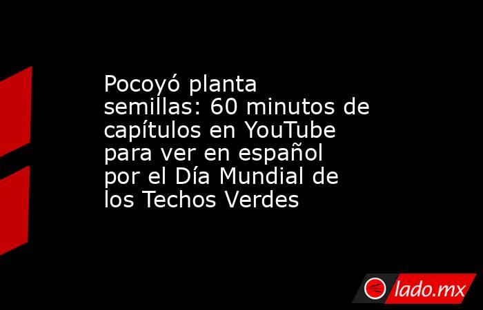 Pocoyó planta semillas: 60 minutos de capítulos en YouTube para ver en español por el Día Mundial de los Techos Verdes. Noticias en tiempo real