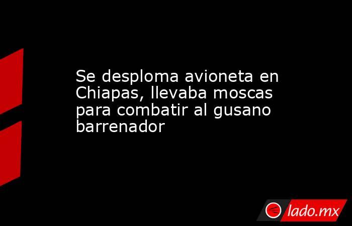 Se desploma avioneta en Chiapas, llevaba moscas para combatir al gusano barrenador. Noticias en tiempo real