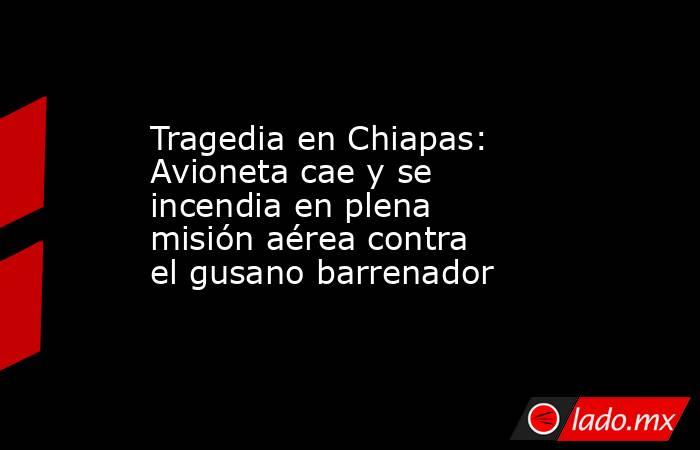 Tragedia en Chiapas: Avioneta cae y se incendia en plena misión aérea contra el gusano barrenador. Noticias en tiempo real