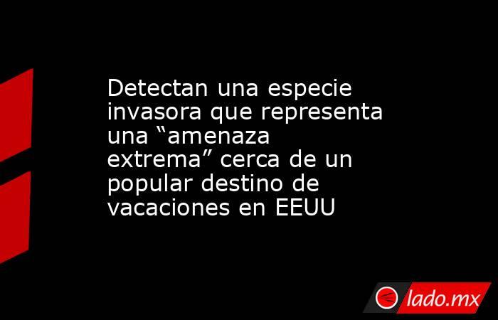 Detectan una especie invasora que representa una “amenaza extrema” cerca de un popular destino de vacaciones en EEUU. Noticias en tiempo real