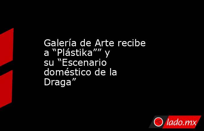 Galería de Arte recibe a “Plástika”” y su “Escenario doméstico de la Draga”. Noticias en tiempo real