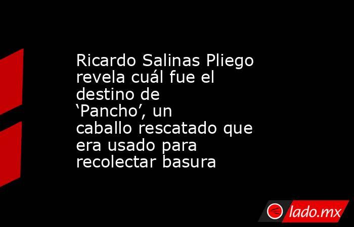 Ricardo Salinas Pliego revela cuál fue el destino de ‘Pancho’, un caballo rescatado que era usado para recolectar basura. Noticias en tiempo real