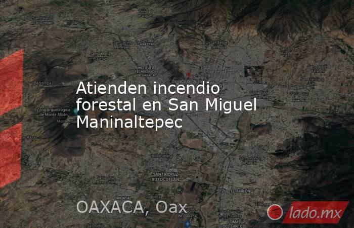 Atienden incendio forestal en San Miguel Maninaltepec. Noticias en tiempo real