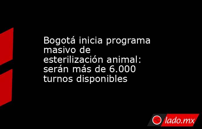 Bogotá inicia programa masivo de esterilización animal: serán más de 6.000 turnos disponibles. Noticias en tiempo real