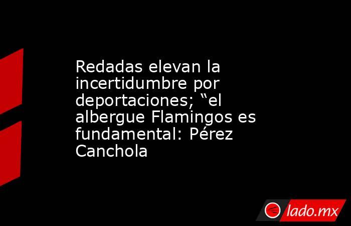 Redadas elevan la incertidumbre por deportaciones; “el albergue Flamingos es fundamental: Pérez Canchola. Noticias en tiempo real