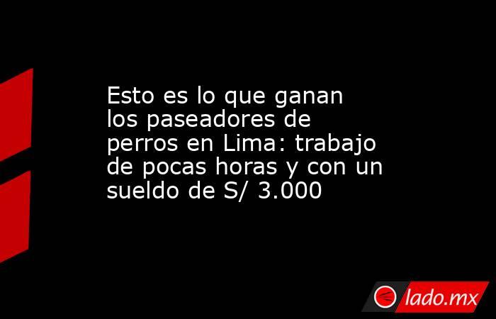 Esto es lo que ganan los paseadores de perros en Lima: trabajo de pocas horas y con un sueldo de S/ 3.000. Noticias en tiempo real