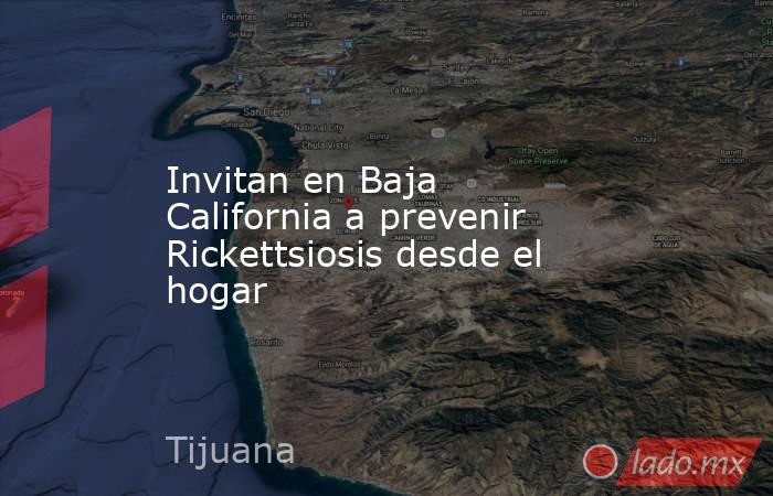 Invitan en Baja California a prevenir Rickettsiosis desde el hogar. Noticias en tiempo real