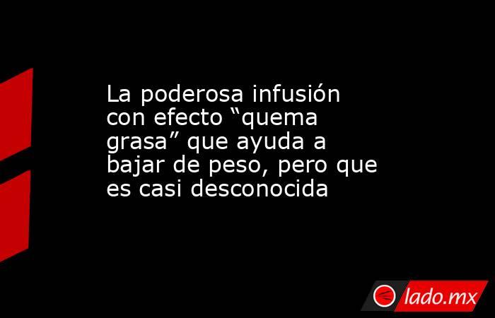 La poderosa infusión con efecto “quema grasa” que ayuda a bajar de peso, pero que es casi desconocida . Noticias en tiempo real