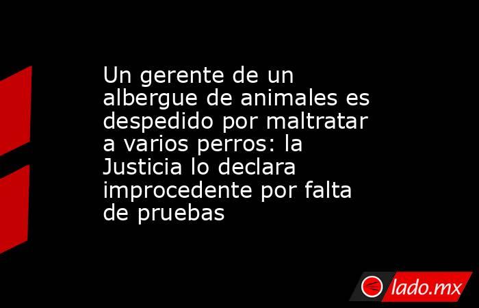 Un gerente de un albergue de animales es despedido por maltratar a varios perros: la Justicia lo declara improcedente por falta de pruebas. Noticias en tiempo real