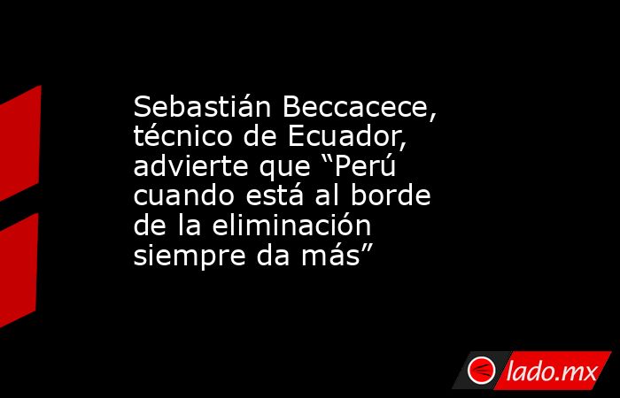 Sebastián Beccacece, técnico de Ecuador, advierte que “Perú cuando está al borde de la eliminación siempre da más”. Noticias en tiempo real