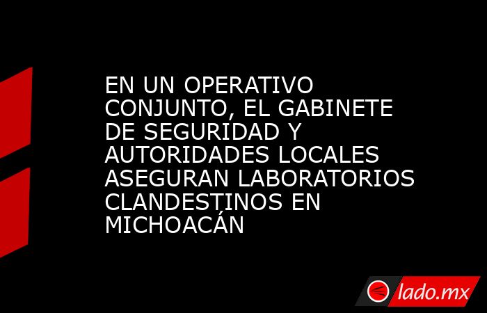EN UN OPERATIVO CONJUNTO, EL GABINETE DE SEGURIDAD Y AUTORIDADES LOCALES ASEGURAN LABORATORIOS CLANDESTINOS EN MICHOACÁN. Noticias en tiempo real