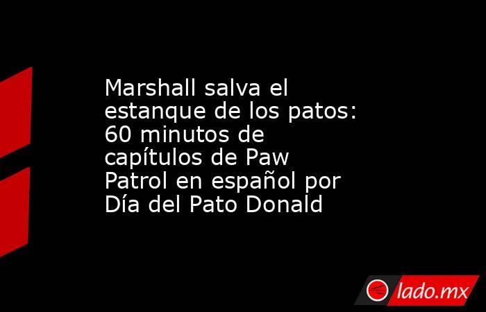 Marshall salva el estanque de los patos: 60 minutos de capítulos de Paw Patrol en español por Día del Pato Donald. Noticias en tiempo real